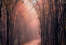 大连一方客场不敌辽宁宏运，遭遇失利