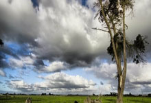 双方拼尽全力，场上交锋搏尽全力：热血赛场的荣耀与承诺